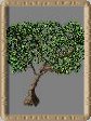 Baum D3