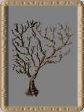 Baum D7