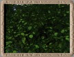 Natur Pur 1