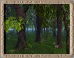 Wald