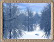 Winterwald