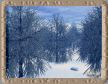 Winterwald V2